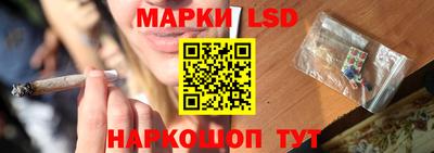 гашик Будённовск