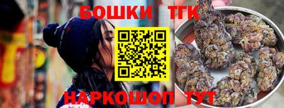 гашик Будённовск
