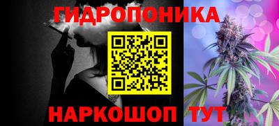 гашик Будённовск