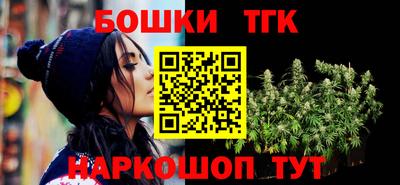 гашик Будённовск