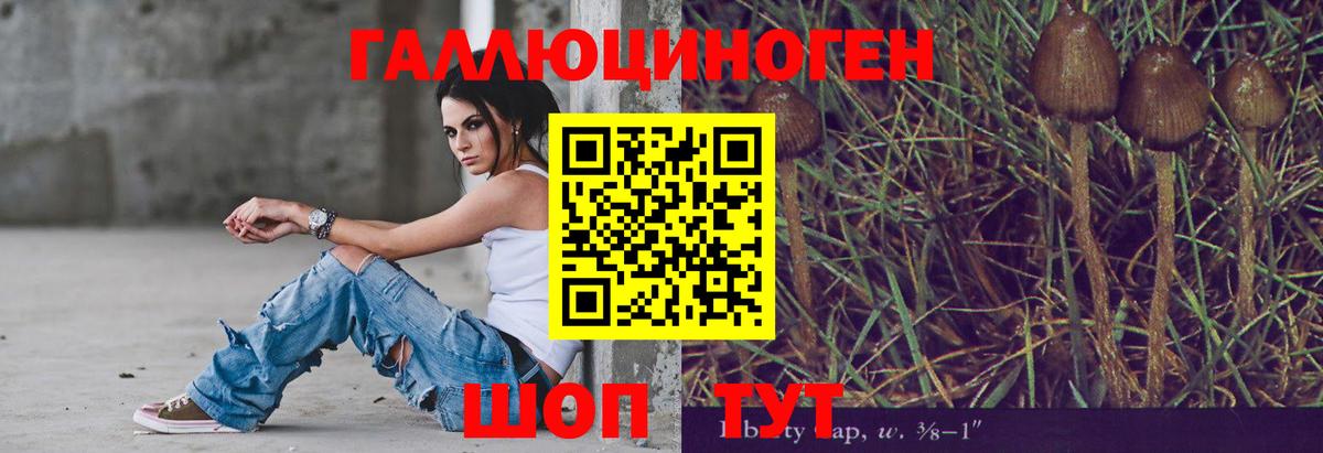 Галлюциногенные грибы мухоморы Новодвинск