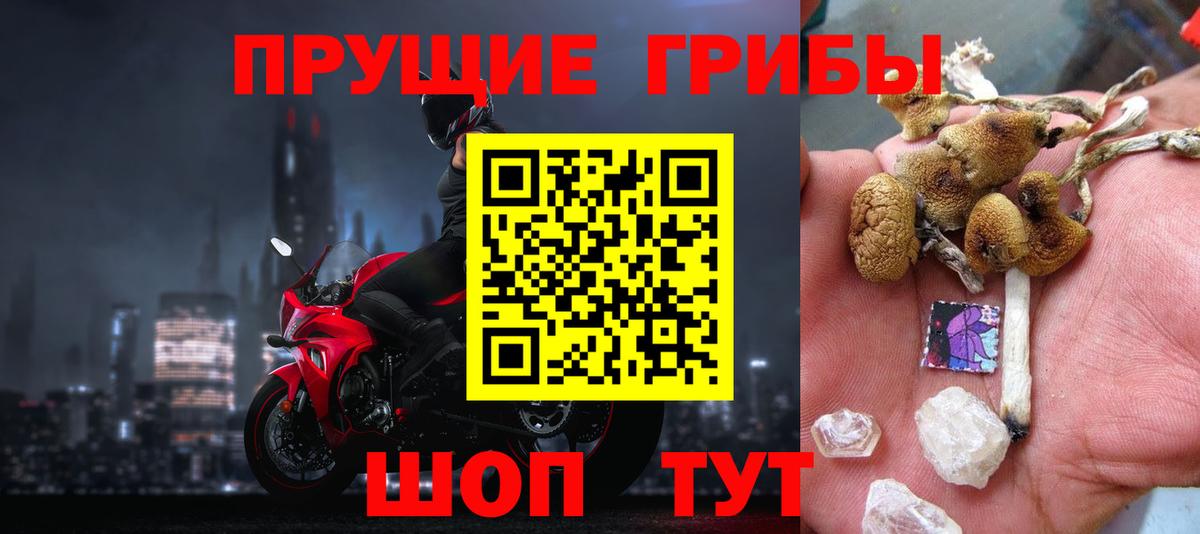 Псилоцибиновые грибы Magic Shrooms  Вход с VPN  Новодвинск 